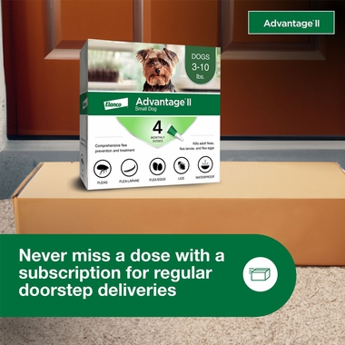ADVANTAGE-II-SMALL-DOGS-4-MONTHS-TAPEWORM