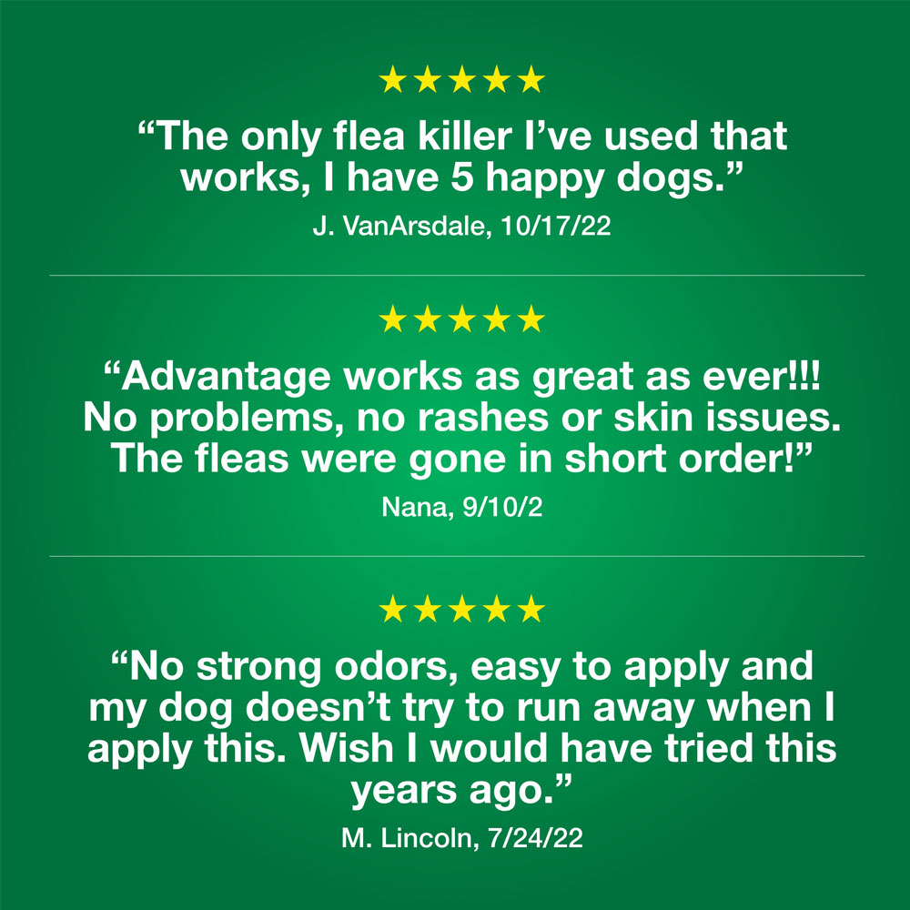 ADVANTAGE-II-XLARGE-DOGS-12-MONTHS-TAPEWORM