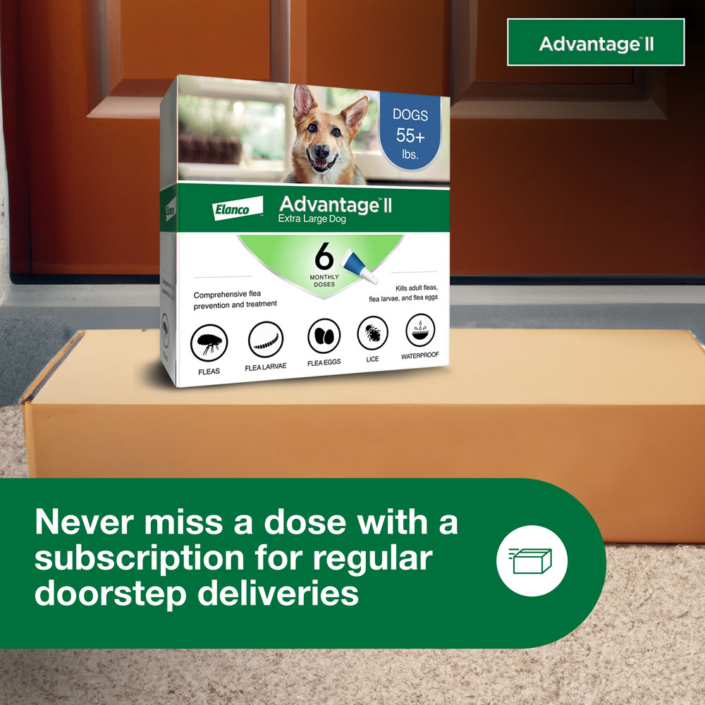ADVANTAGE-II-XLARGE-DOGS-12-MONTHS-TAPEWORM