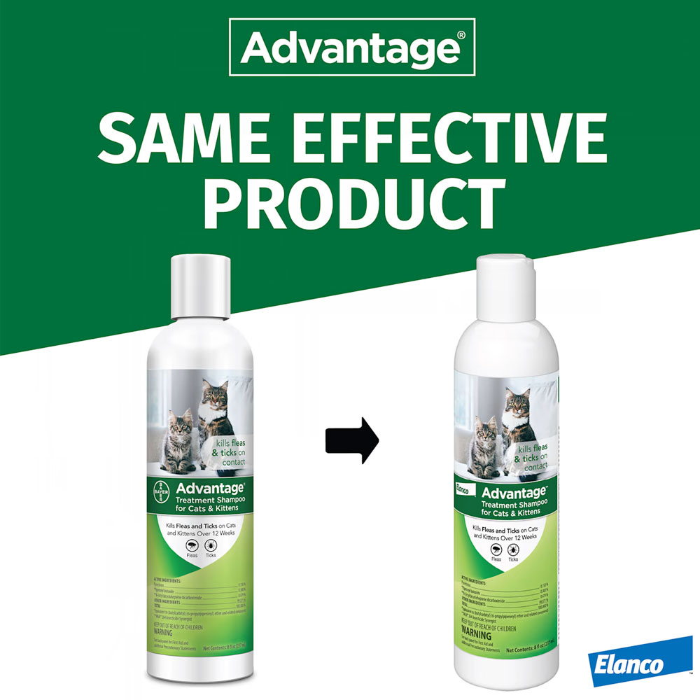 ADVANTAGE-TREATMENT-SHAMPOO-CATS-8-OZ
