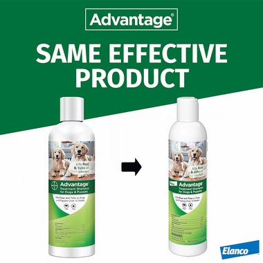 ADVANTAGE-TREATMENT-SHAMPOO-DOGS-12-OZ