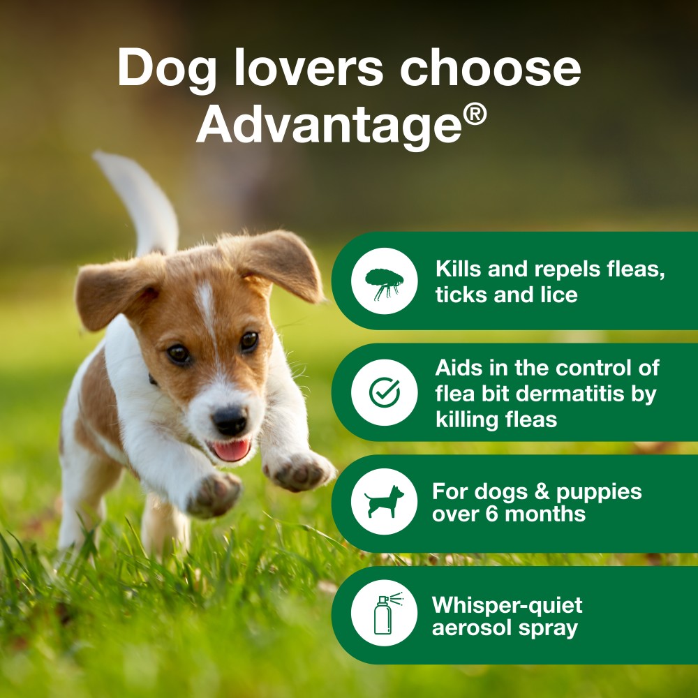 ADVANTAGE-TREATMENT-SPRAY-DOGS-8-OZ