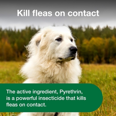 ADVANTAGE-TREATMENT-SPRAY-DOGS-8-OZ