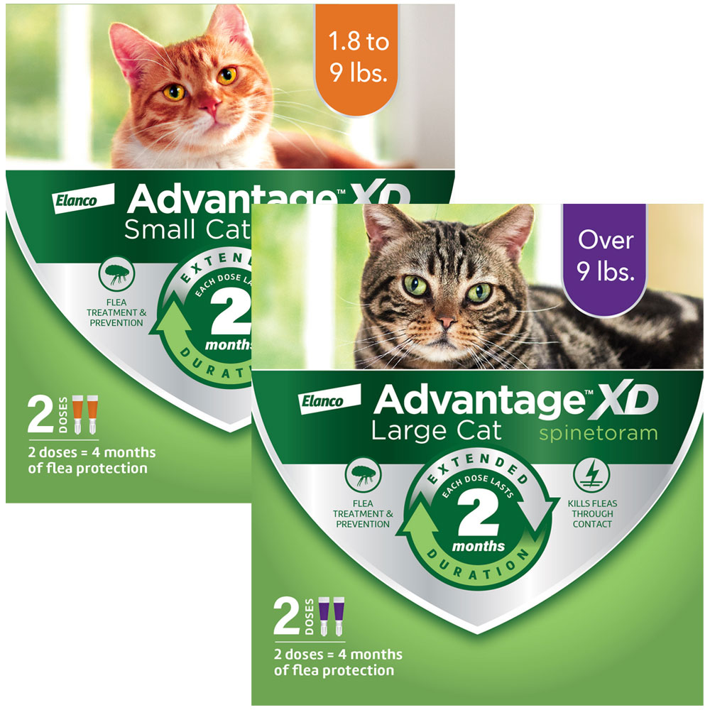 Advantage XD Flea Control for Cats