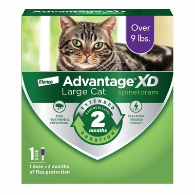 ADVANTAGE-XD-FLEA-CONTROL-FOR-LG-CATS-OVER-9LBS-1CT