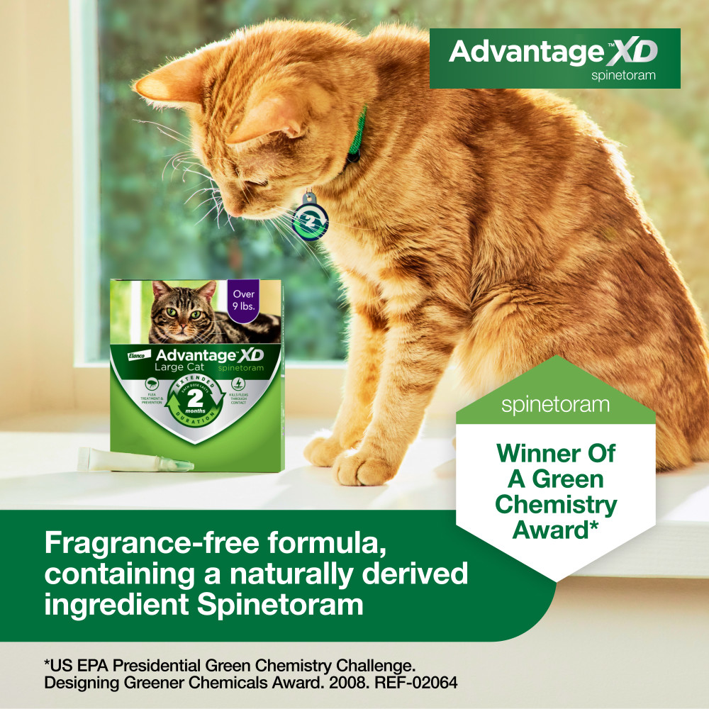 ADVANTAGE-XD-FLEA-CONTROL-FOR-LG-CATS-OVER-9LBS-1CT