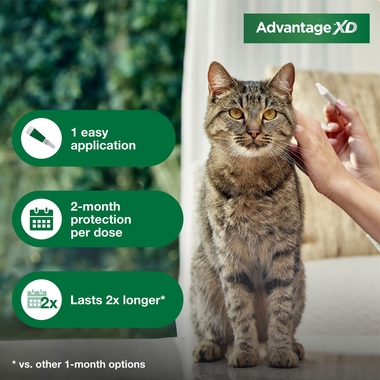 ADVANTAGE-XD-FLEA-CONTROL-FOR-LG-CATS-OVER-9LBS-4CT