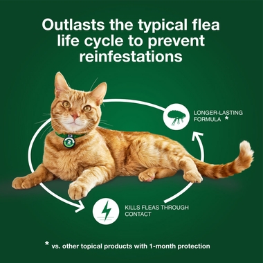 ADVANTAGE-XD-FLEA-CONTROL-FOR-LG-CATS-OVER-9LBS-4CT