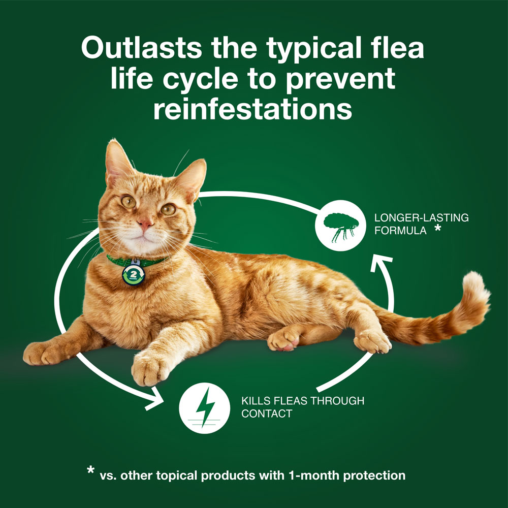 ADVANTAGE-XD-FLEA-CONTROL-FOR-LG-CATS-OVER-9LBS-4CT