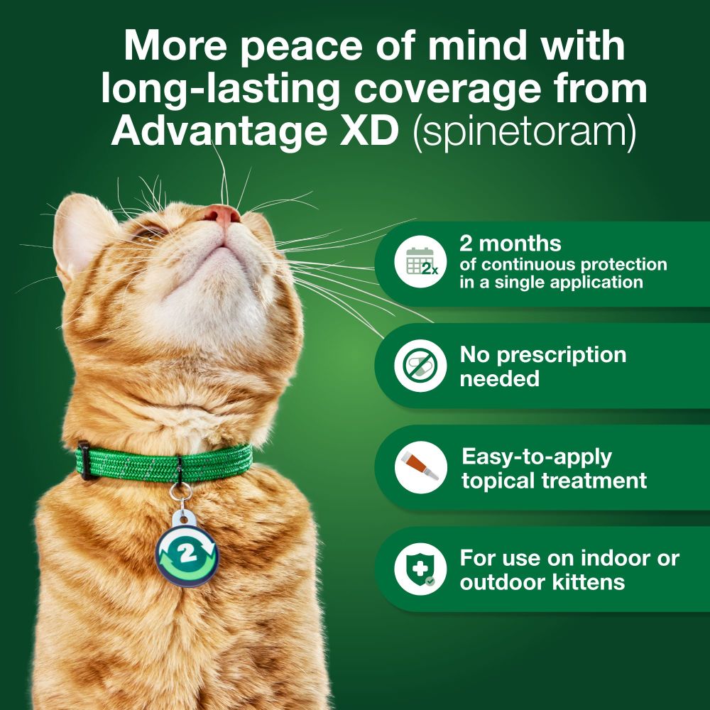 ADVANTAGE-XD-FLEA-CONTROL-FOR-LG-CATS-OVER-9LBS-4CT