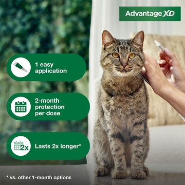 ADVANTAGE-XD-FLEA-CONTROL-FOR-SM-CATS-1-8LBS-9LBS-1CT