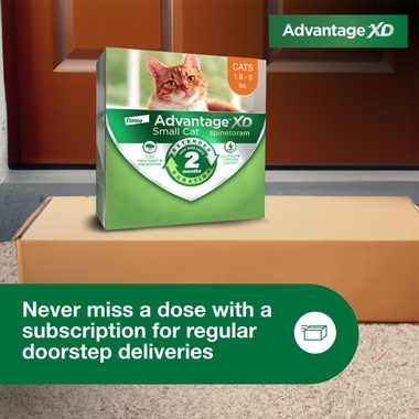 ADVANTAGE-XD-FLEA-CONTROL-FOR-SM-CATS-1-8LBS-9LBS-1CT