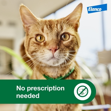 ADVANTAGE-XD-FLEA-CONTROL-FOR-SM-CATS-1-8LBS-9LBS-1CT