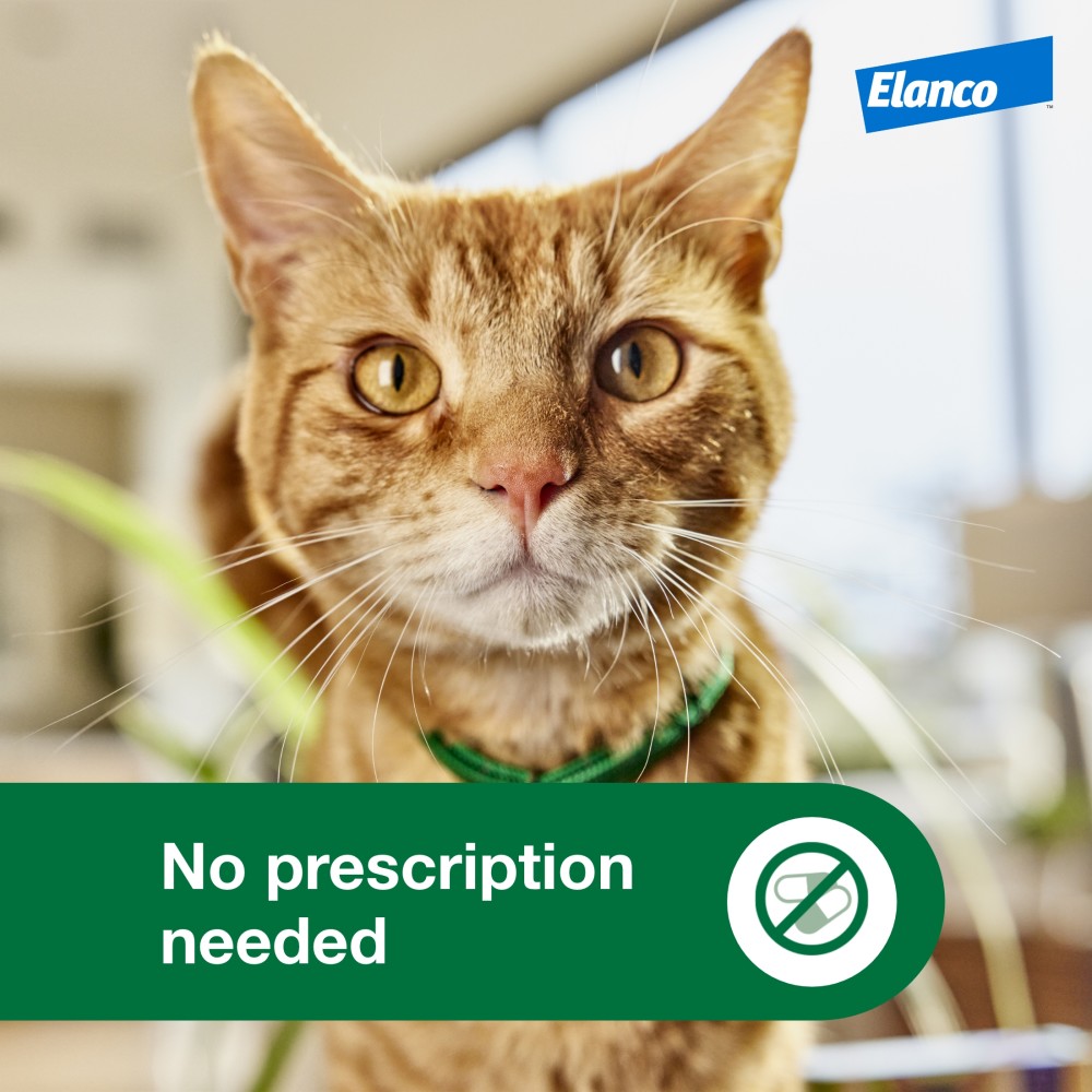 ADVANTAGE-XD-FLEA-CONTROL-FOR-SM-CATS-1-8LBS-9LBS-1CT