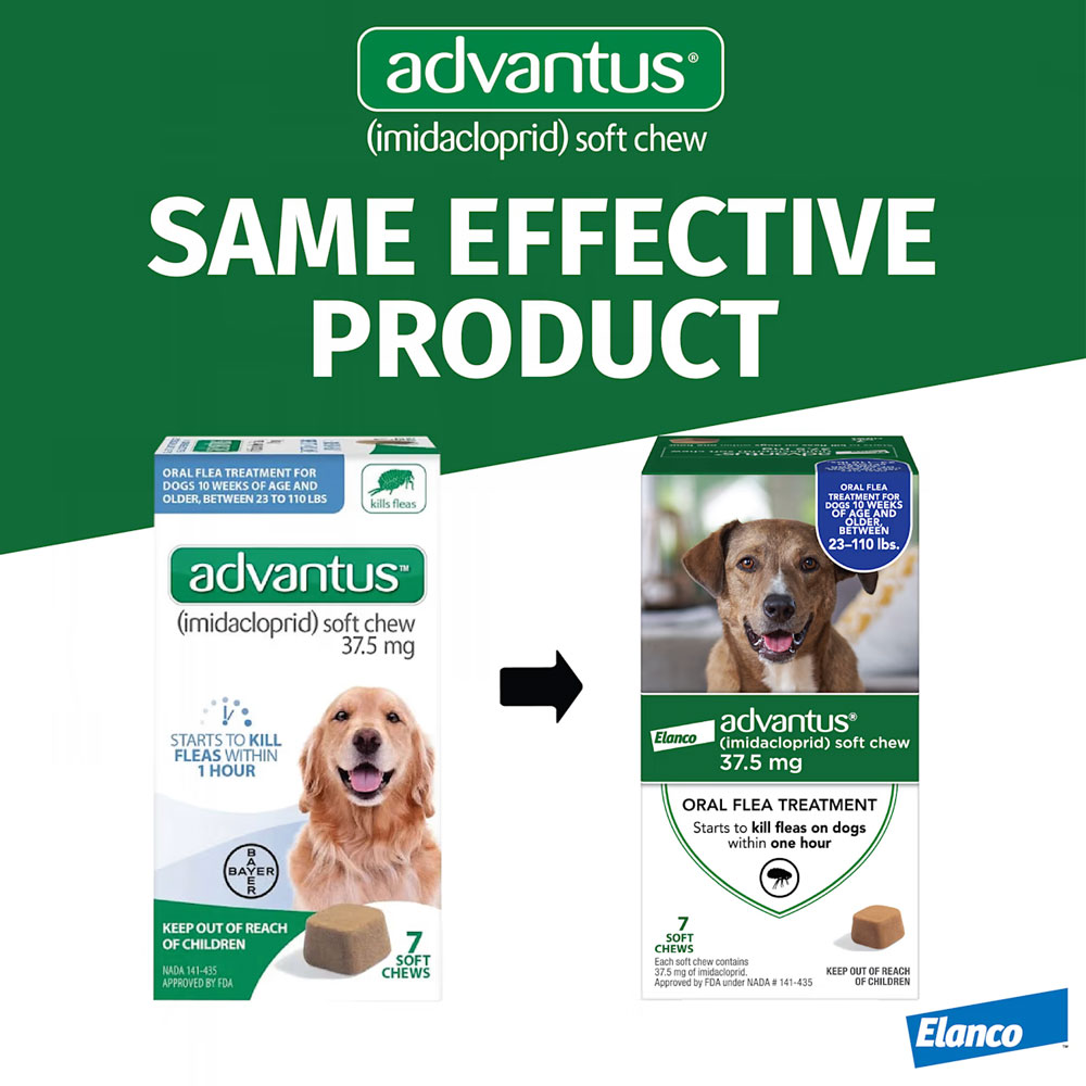 Advantus Oral Flea Soft Chews for Large Dogs (7 count) EntirelyPets