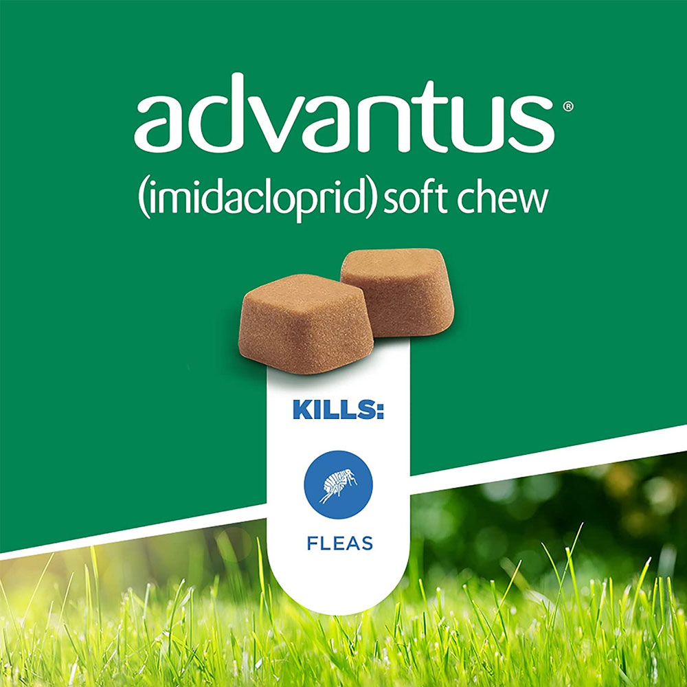 ADVANTUS-SOFT-CHEWS-LARGE-DOGS-7-COUNT