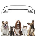 Affiliates Banner Ads 