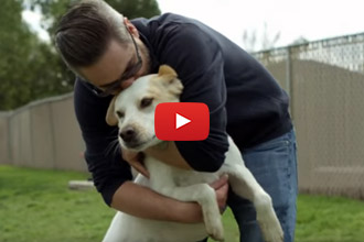 After Serving Our Country, This Man Found Hope And Happiness Through His Dog
