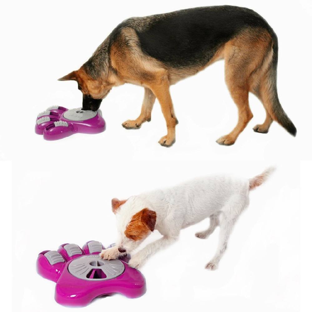 AIKIOU-ACTIVITY-FOOD-CENTER-DOGS-BROWN-FUCHSIA