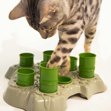 AIKIOU-STIMULO-ACTIVITY-FOOD-CENTER-CATS-GRAY-GREEN