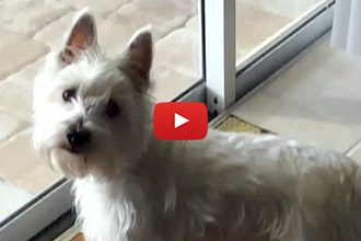 All Christy Ever Wanted Was A Pool... Watch Her Wish Come True!