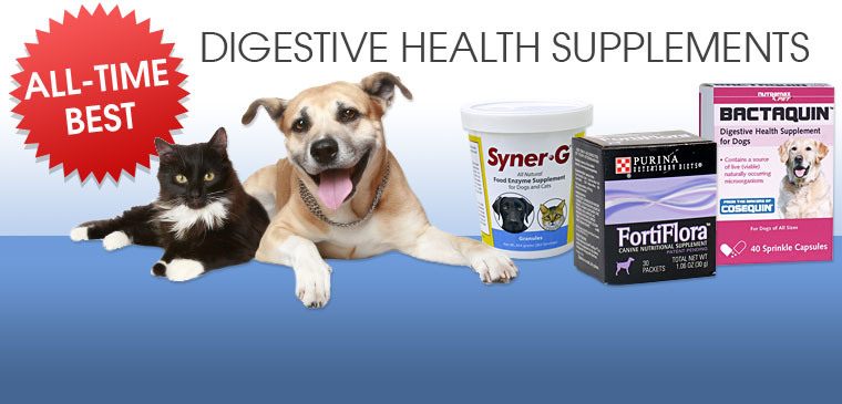 All-Time Best Digestive Health Supplements