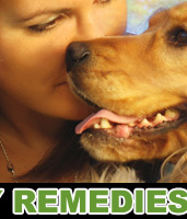 Allergy Remedies for You and Your Pet