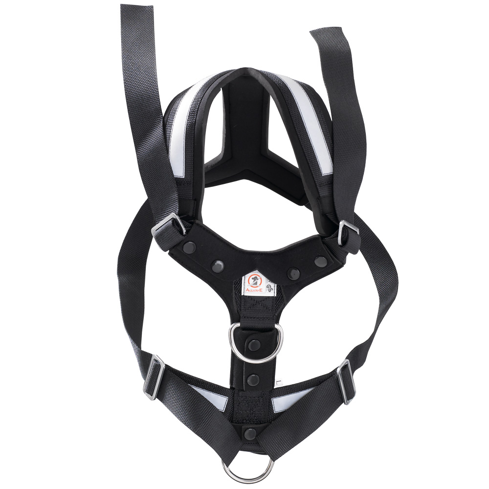 AllSafe Harness