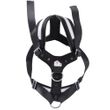 AllSafe Harness