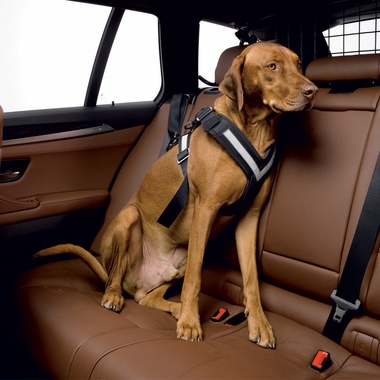 ALLSAFE-HARNESS-MEDIUM