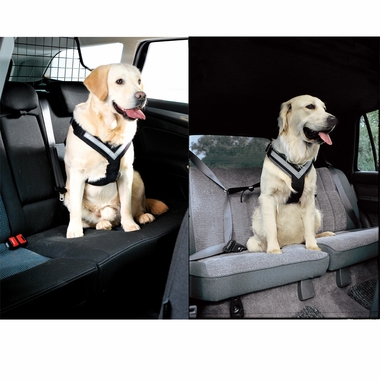 ALLSAFE-HARNESS-MEDIUM