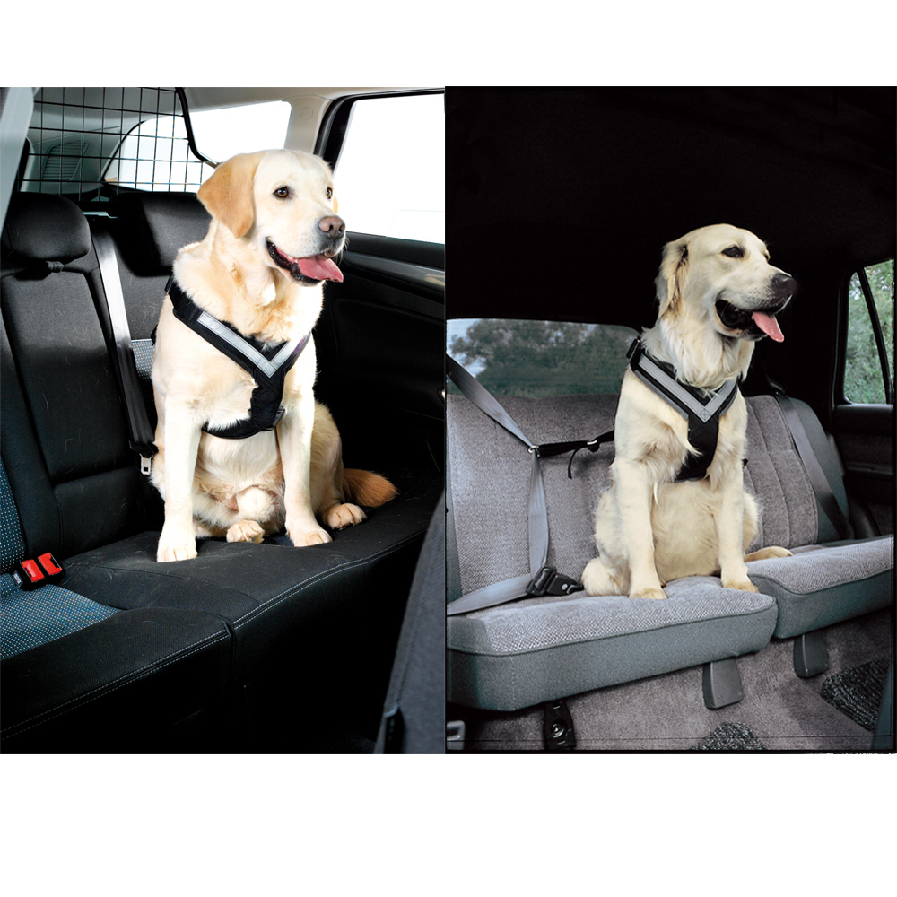 ALLSAFE-HARNESS-MEDIUM