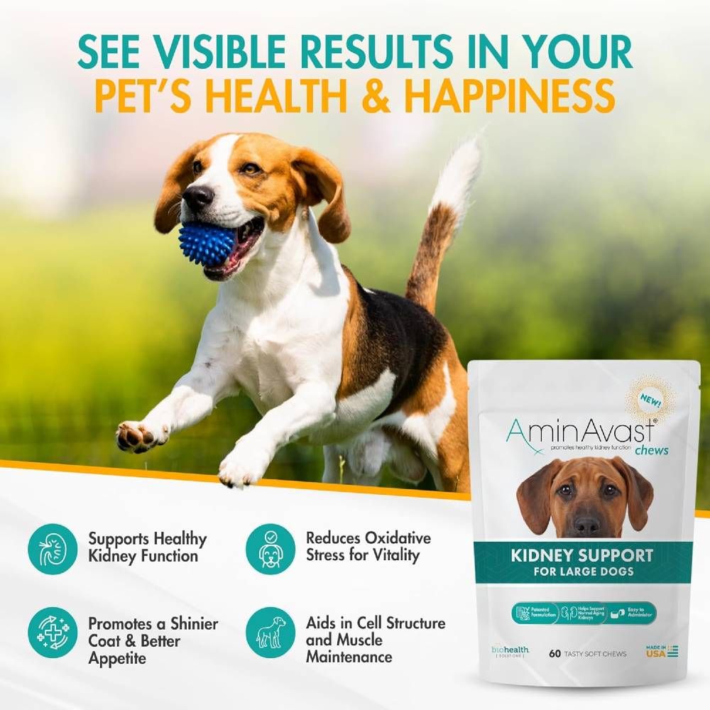 AMINAVAST-KIDNEY-SUPPORT-FOR-DOGS-60-CHEWS