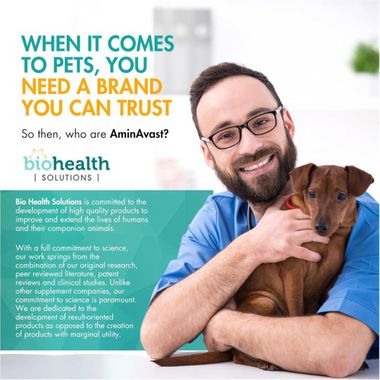 AMINAVAST-KIDNEY-SUPPORT-FOR-DOGS-60-CHEWS