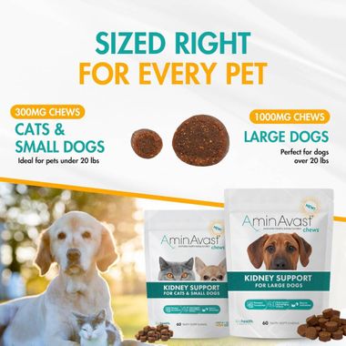 AMINAVAST-KIDNEY-SUPPORT-FOR-DOGS-60-CHEWS