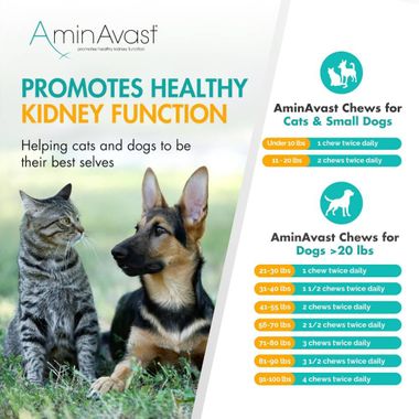 AMINAVAST-KIDNEY-SUPPORT-FOR-DOGS-60-CHEWS