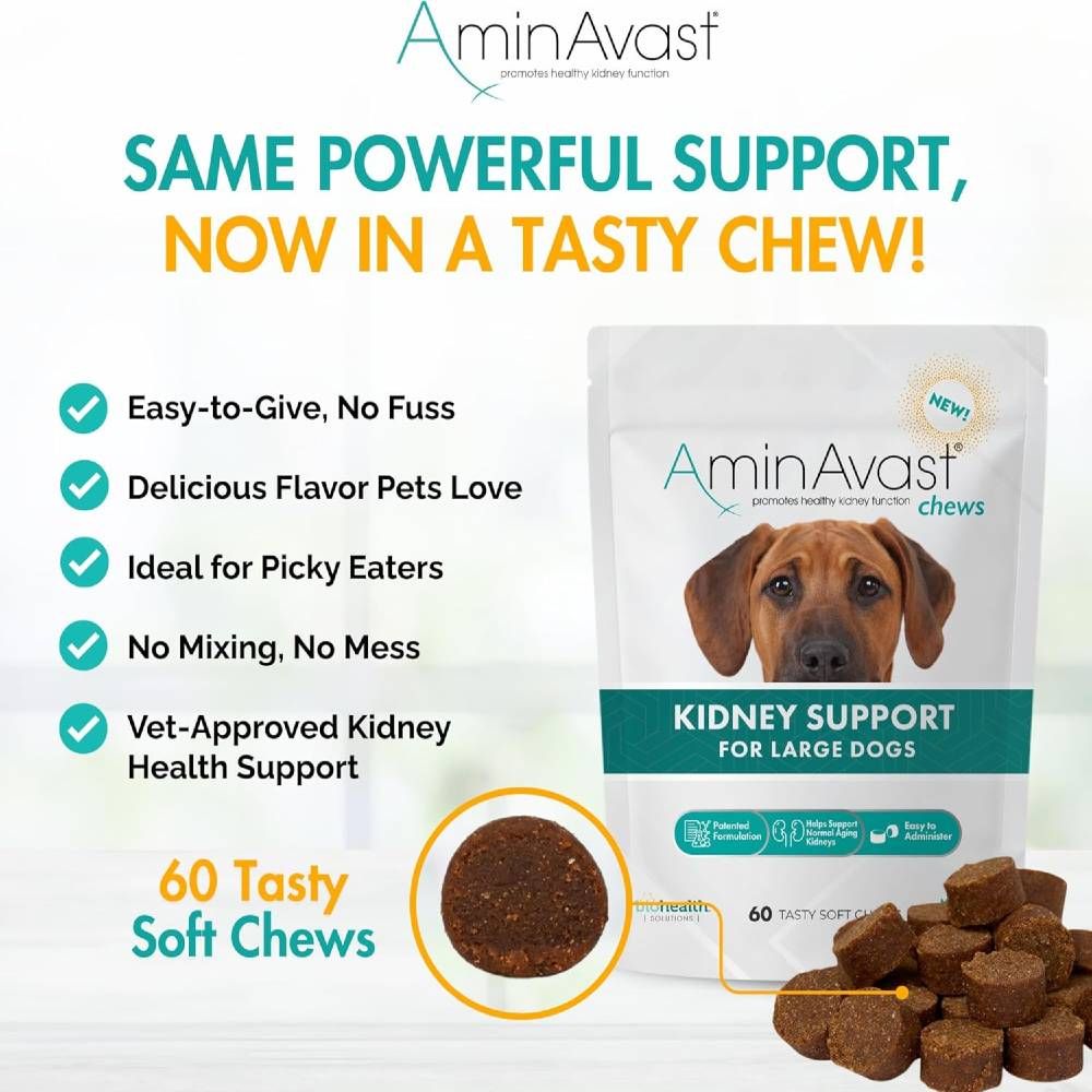 AMINAVAST-KIDNEY-SUPPORT-FOR-DOGS-60-CHEWS