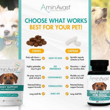 AMINAVAST-KIDNEY-SUPPORT-FOR-DOGS-60-CHEWS