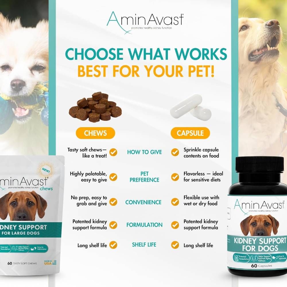 AMINAVAST-KIDNEY-SUPPORT-FOR-DOGS-60-CHEWS