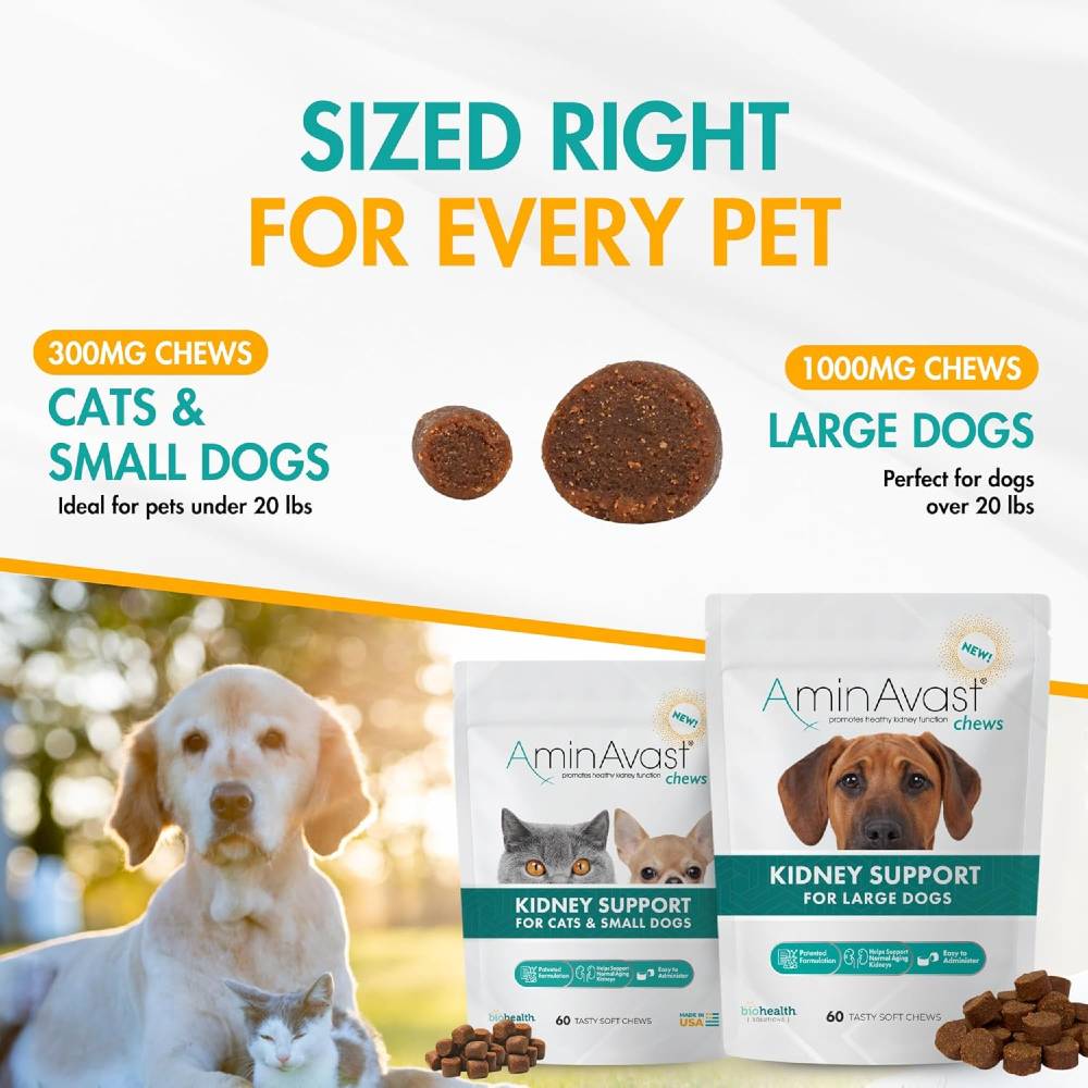 AMINAVAST-KIDNEY-SUPPORT-FOR-CATS-SMALL-DOGS-60-CHEWS