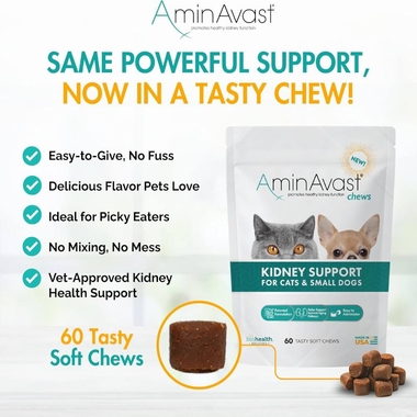 AMINAVAST-KIDNEY-SUPPORT-FOR-CATS-SMALL-DOGS-60-CHEWS