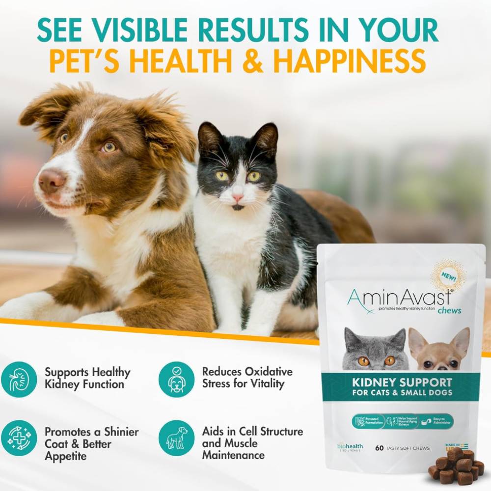 AMINAVAST-KIDNEY-SUPPORT-FOR-CATS-SMALL-DOGS-60-CHEWS