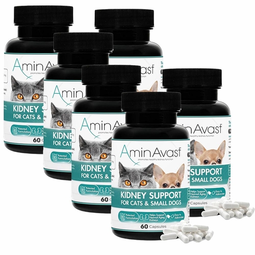 AminAvast™ Kidney Support for Cats & Small Dogs (360 Capsules