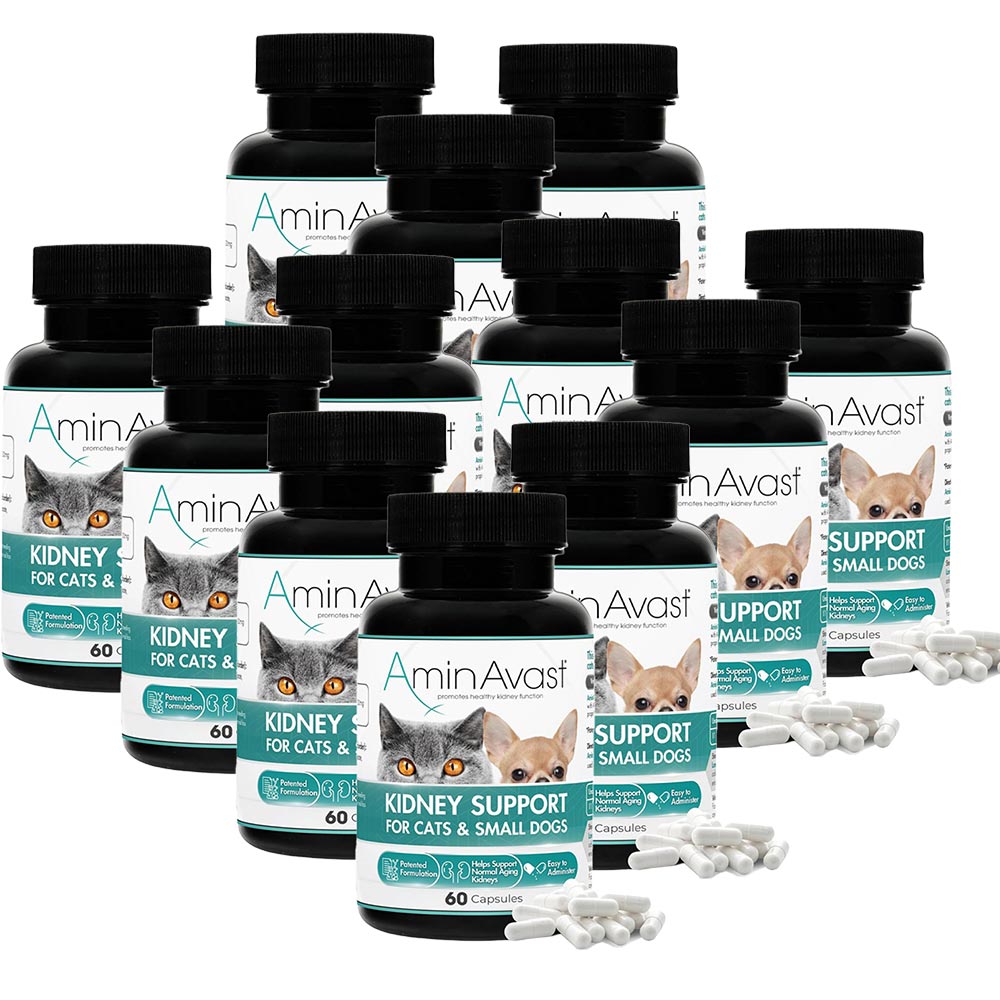 AMINAVAST-KIDNEY-SUPPORT-CATS-720-CAPSULES