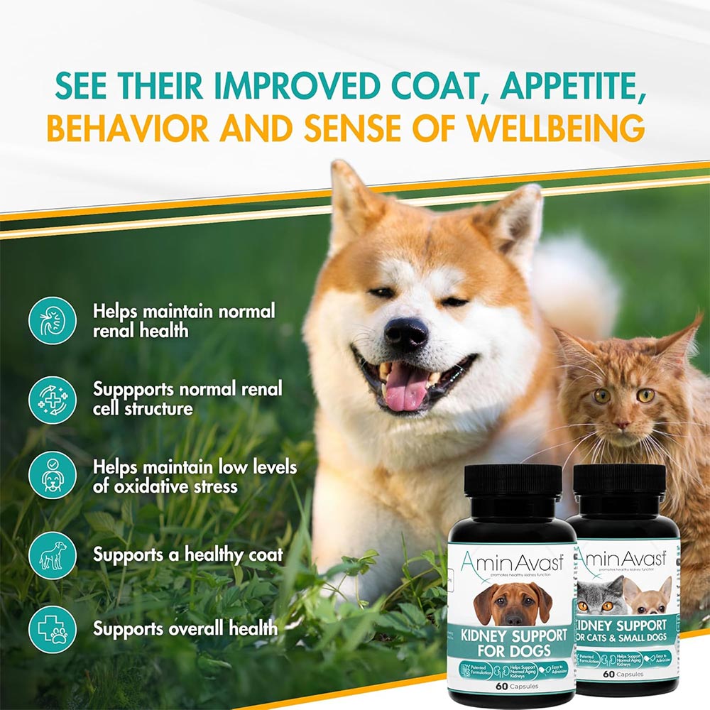AMINAVAST-KIDNEY-SUPPORT-CATS-720-CAPSULES