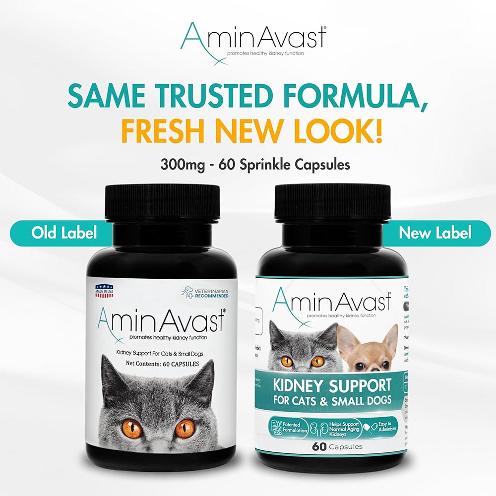 AMINAVAST-KIDNEY-SUPPORT-CATS-720-CAPSULES