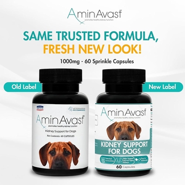 AMINAVAST-KIDNEY-SUPPORT-DOGS-360-CAPSULES