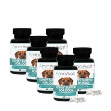AminAvast™ Kidney Support for Dogs (360 Capsules) | On Sale