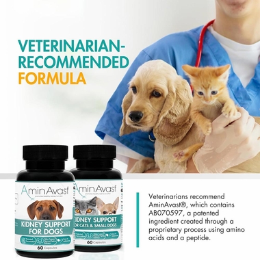 AMINAVAST-KIDNEY-SUPPORT-FOR-DOGS-60-CAPSULES