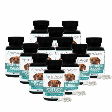 AminAvast™ Kidney Support for Dogs (720 Capsules) | On Sale